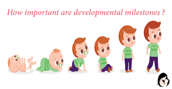 How important are developmental milestones ?
